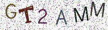 GT2AMM