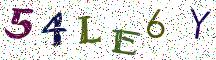 54LE6Y