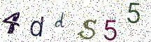 4ddS55