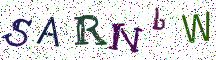 SARNbW