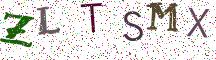 ZLTSMX