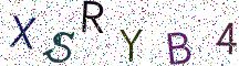 XSRYB4