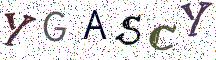 YGASCY