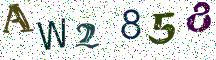 AW2858