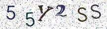 55Y2SS