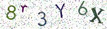 8r3Y6X