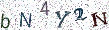 bN4Y2N