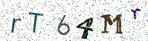 rT64Mr