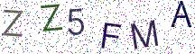 ZZ5FMA
