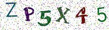 ZP5X45