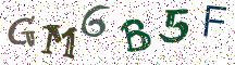 GM6B5F
