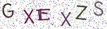 GXEXZS