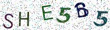 SHE5B5