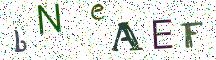 bNeAEF