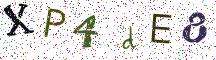 XP4dE8
