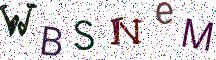 WBSNeM