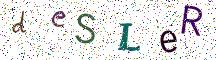 deSLeR