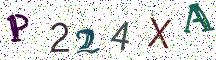 P224XA