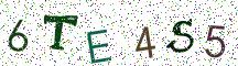 6TE4S5