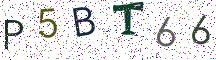 P5BT66