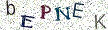 bEPNEK
