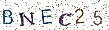BNEC25