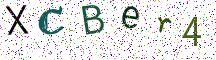 XCBer4