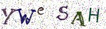 YWeSAH
