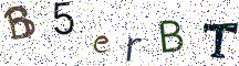 B5erBT