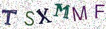 TSXMMF
