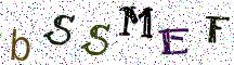 bSSMEF