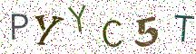PYYC5T
