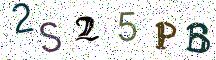 2S25PB