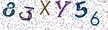 83XY56