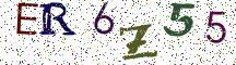 ER6Z55
