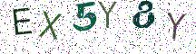 EX5Y8Y