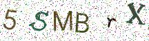 5SMBrX