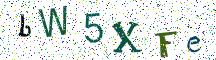 bW5XFe