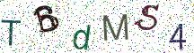 TBdMS4
