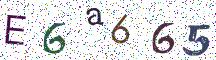 E6a665