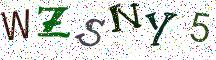 WZSNY5