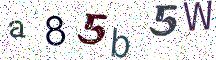 a85b5W