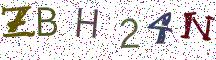 ZBH24N