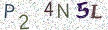 P24N5L
