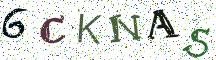 6CKNAS