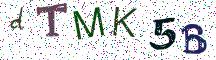 dTMK5B