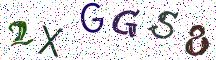 2XGGS8