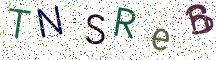 TNSReB
