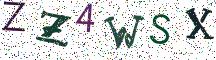 ZZ4WSX