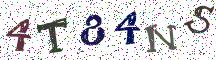 4T84NS